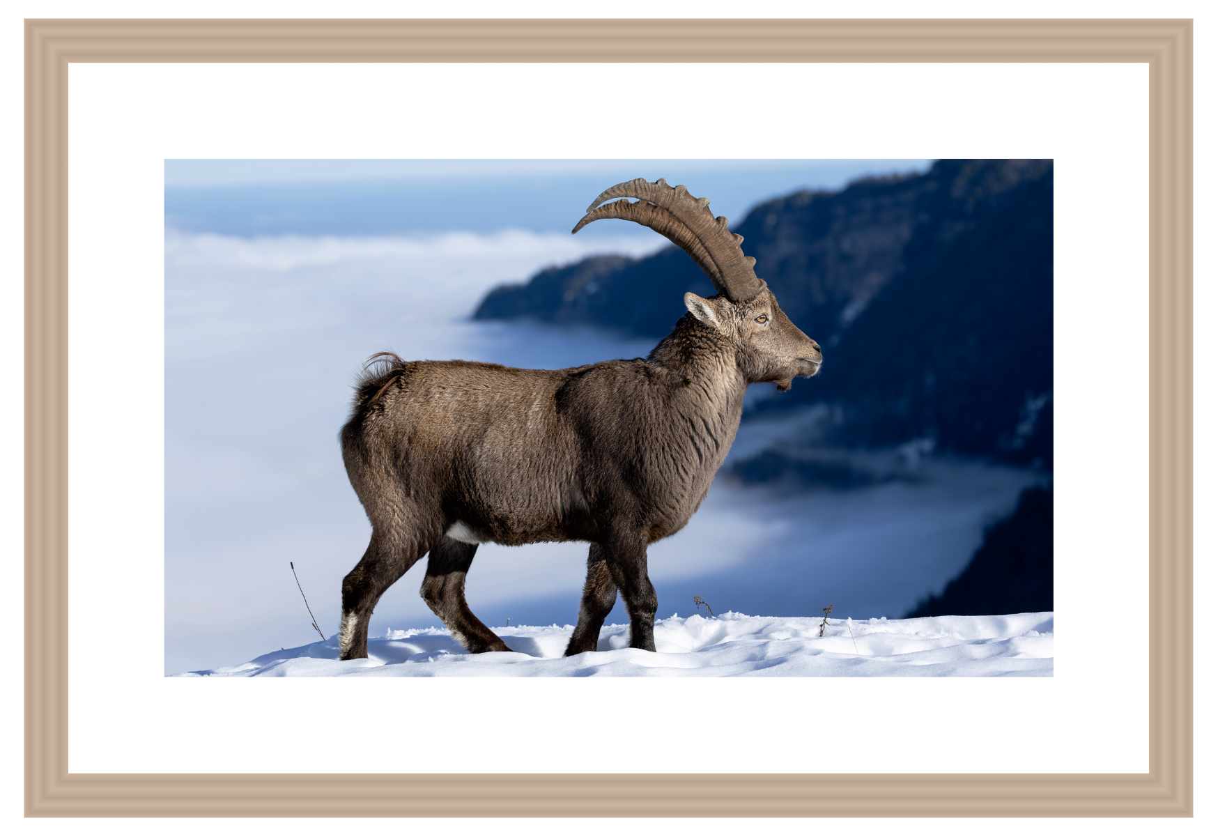 Poster encardé avec passe-partout, 20x30cm