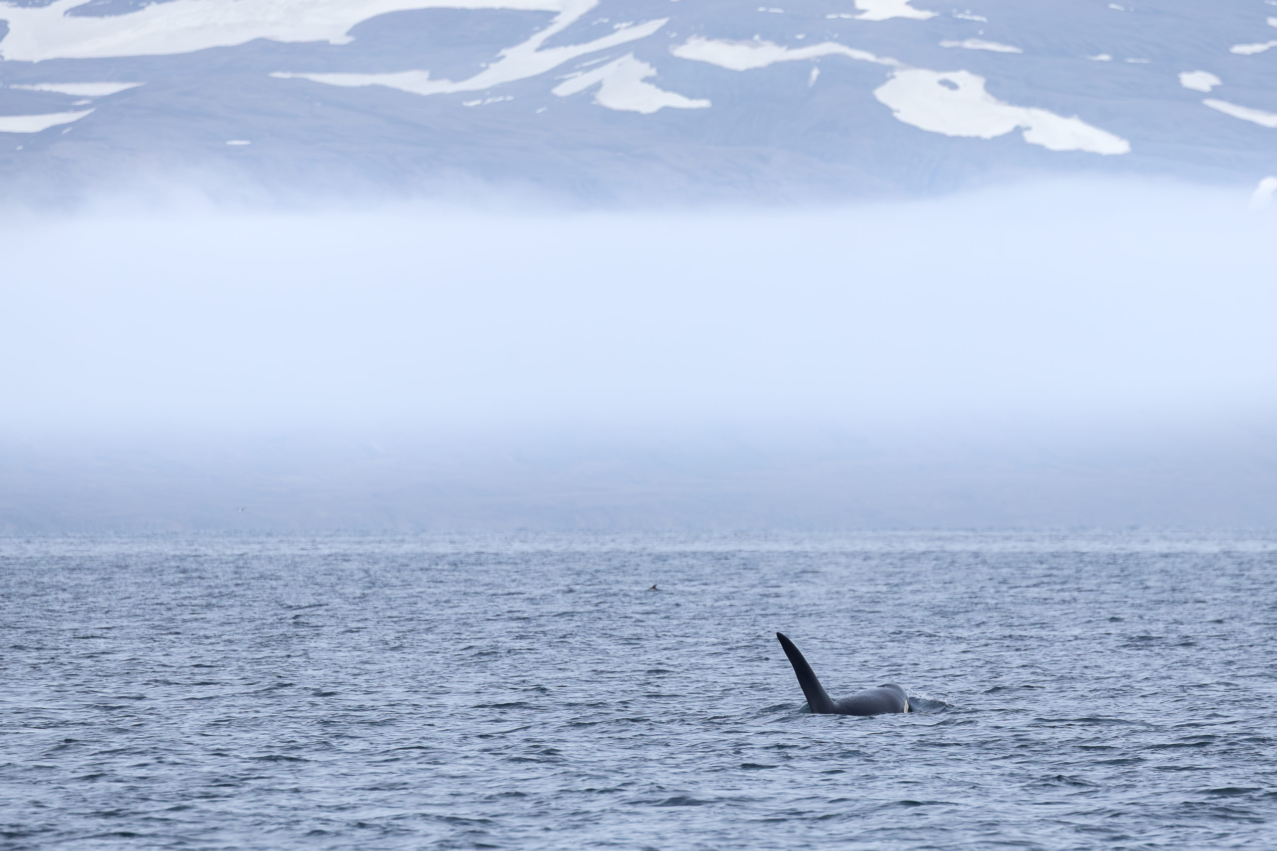 Jökulsarlon